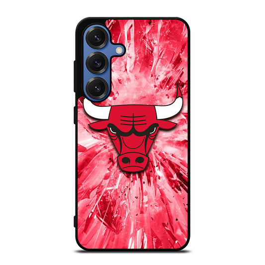 CHICAGO BULLS NBA TEAM 2 Samsung Galaxy Case Cover